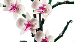 Orchidee LEGO-set afbeelding 4