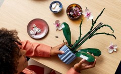Orchidee LEGO-set afbeelding 7