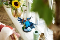 IJsvogel LEGO-set afbeelding 7