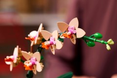 Miniorchidee LEGO-set afbeelding 7