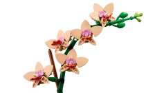 Miniorchidee LEGO-set afbeelding 4