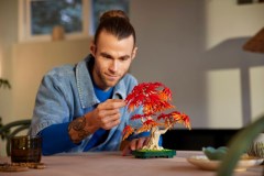 Japanse esdoorn bonsaiboompje LEGO-set afbeelding 9