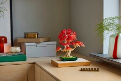 Japanse esdoorn bonsaiboompje LEGO-set afbeelding 10