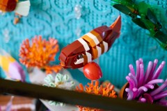 Tropical Aquarium, zdjęcie 5