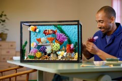 Tropical Aquarium, zdjęcie 8