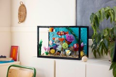 Tropical Aquarium, zdjęcie 10