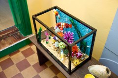 Tropical Aquarium, zdjęcie 11