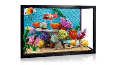 Tropical Aquarium, zdjęcie 15
