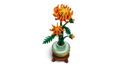 Chrysanthemum