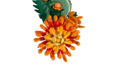 Chrysanthemum