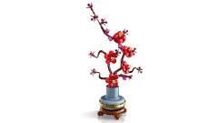 Plum Blossom
