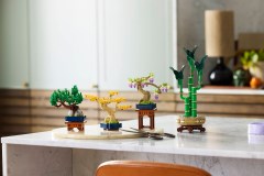 Mini Bonsai Trees, zdjęcie 3