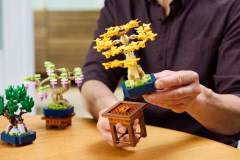 Mini Bonsai Trees, zdjęcie 6