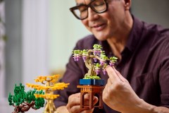 Mini Bonsai Trees, zdjęcie 7