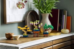 Mini Bonsai Trees, zdjęcie 9