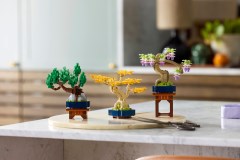 Mini Bonsai Trees, zdjęcie 10