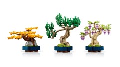 Mini Bonsai Trees, zdjęcie 12