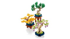 Mini Bonsai Trees, zdjęcie 13