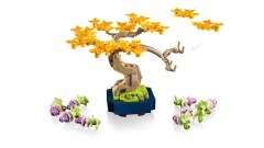 Mini Bonsai Trees, zdjęcie 15