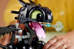 How to Train Your Dragon: Toothless, zdjęcie 4