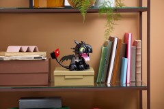 How to Train Your Dragon: Toothless, zdjęcie 7