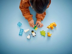 Families van wilde dieren: pinguïns en leeuwen LEGO-set afbeelding 7