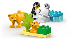 Families van wilde dieren: pinguïns en leeuwen LEGO-set afbeelding 4