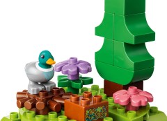 Ontdekkingsbos met wilde dieren LEGO-set afbeelding 7