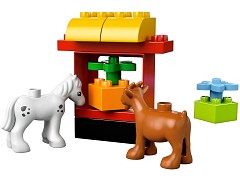 Конструктор LEGO (ЛЕГО) Duplo 10517  My First Garden