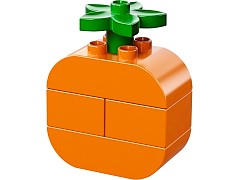 Конструктор LEGO (ЛЕГО) Duplo 10566  Creative Picnic
