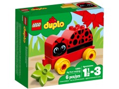 Конструктор LEGO (ЛЕГО) Duplo 10859  My First Ladybird