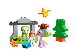 Dinosaur Nursery, zdjęcie 3