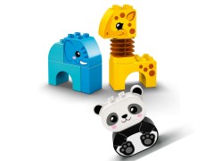 Animal Train, zdjęcie 6