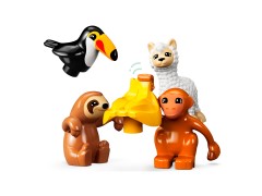 Wild Animals of South America, zdjęcie 3