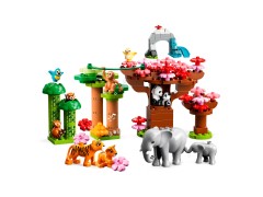 Wild Animals of Asia, zdjęcie 3