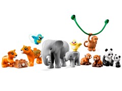 Wild Animals of Asia, zdjęcie 4