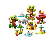 Wild Animals of the World, zdjęcie 3
