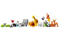 Wild Animals of the World, zdjęcie 4