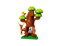Wild Animals Of Europe, zdjęcie 4