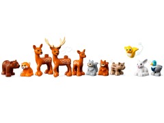 Wild Animals Of Europe, zdjęcie 5