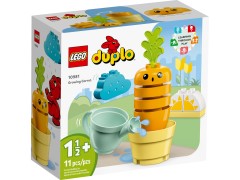 Growing Carrot LEGO-set afbeelding 2