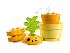 Growing Carrot LEGO-set afbeelding 4