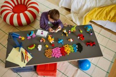 Kleurrijke creatieve stenen LEGO-set afbeelding 19