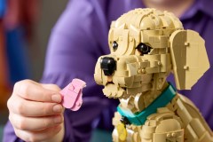 Golden retriever puppy LEGO-set afbeelding 13