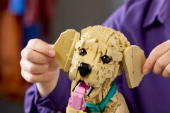 Golden retriever puppy LEGO-set afbeelding 15