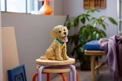 Golden retriever puppy LEGO-set afbeelding 17