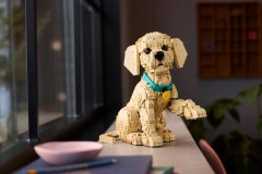 Golden retriever puppy LEGO-set afbeelding 18