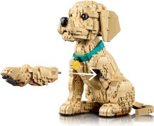Golden retriever puppy LEGO-set afbeelding 9