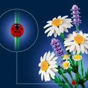 Madeliefjes LEGO-set afbeelding 2