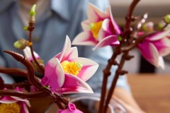 Magnoliatakken LEGO-set afbeelding 11